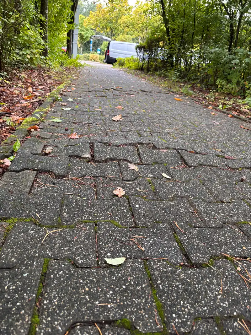 Alter, ausgetretener Pflasterweg mit Laub und losen Steinen